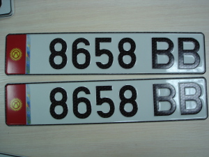 Киргизские номера пример