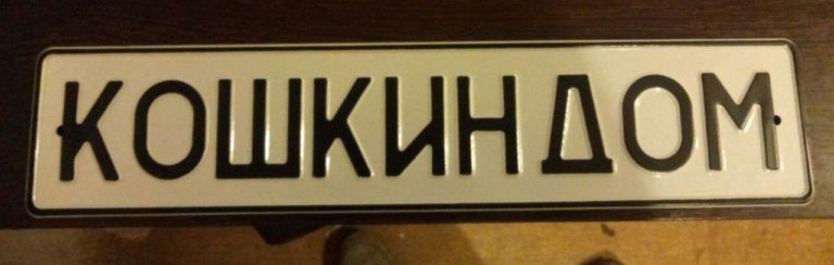 Кошкин дом график работы